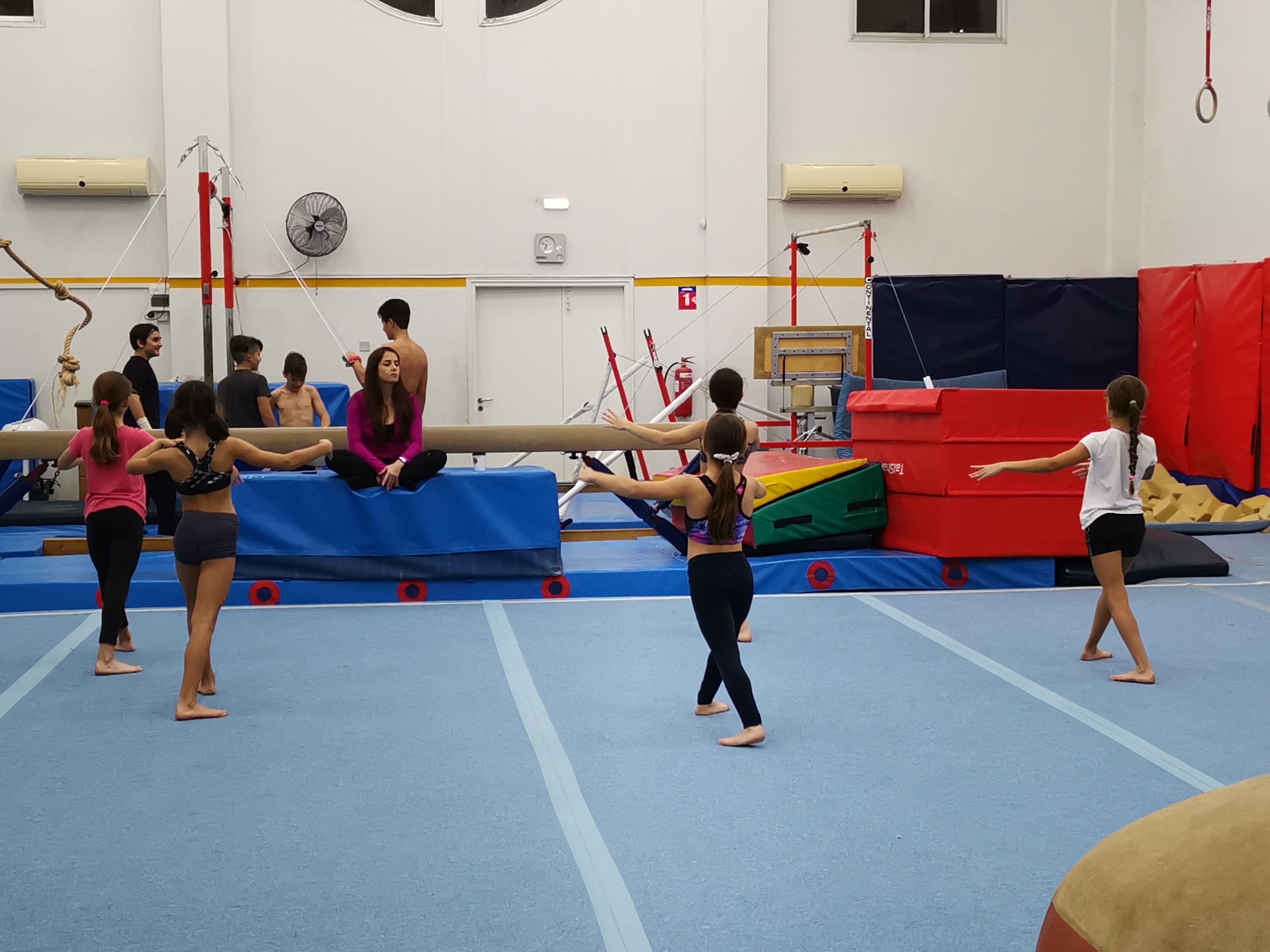 artistic gymnastics